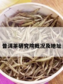 普洱茶研究院概况及地址