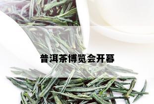 普洱茶博览会开幕