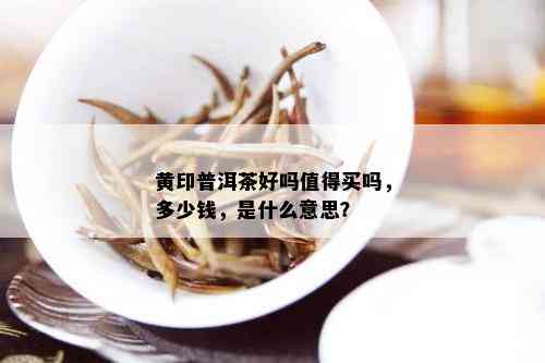 黄印普洱茶好吗值得买吗，多少钱，是什么意思？