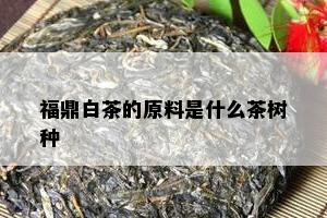 福鼎白茶的原料是什么茶树种