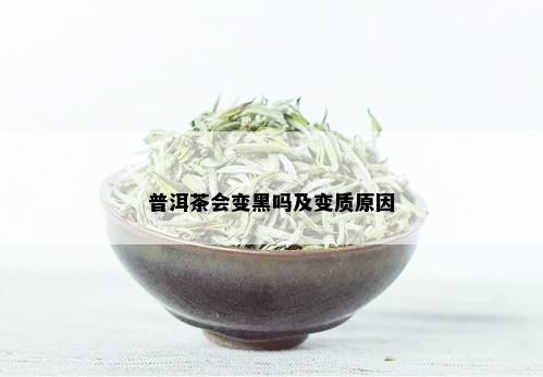 普洱茶会变黑吗及变质原因