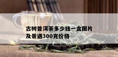 古树普洱茶多少钱一盒图片及景遇300克价格