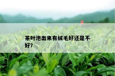 茶叶泡出来有绒毛好还是不好？