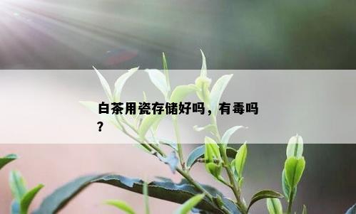 白茶用瓷存储好吗，有吗？