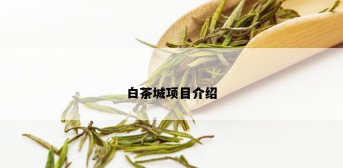 白茶城项目介绍