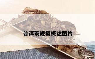 普洱茶规模概述图片