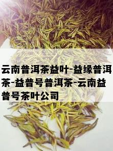 云南普洱茶益叶-益缘普洱茶-益普号普洱茶-云南益普号茶叶公司