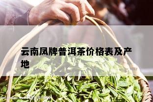 云南凤牌普洱茶价格表及产地