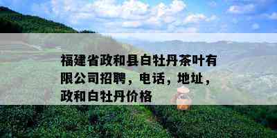 福建省政和县白牡丹茶叶有限公司招聘，电话，地址，政和白牡丹价格