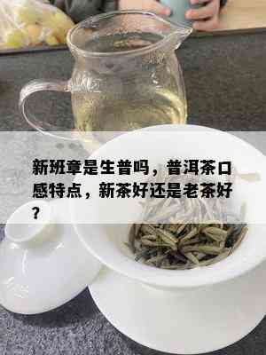 新班章是生普吗，普洱茶口感特点，新茶好还是老茶好？