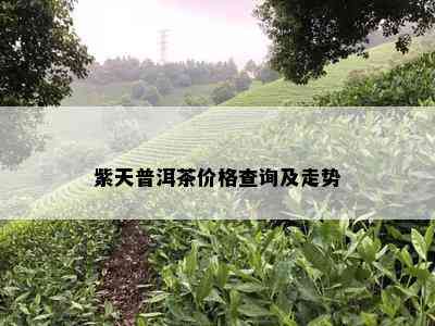 紫天普洱茶价格查询及走势