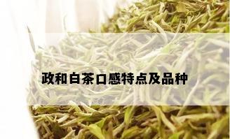 政和白茶口感特点及品种