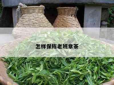 怎样保陈老班章茶