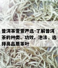 普洱茶萱萱严选-了解普洱茶的种类、功效、泡法，选择高品质茶叶