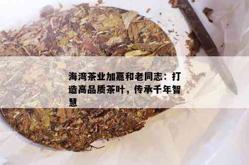 海湾茶业加嘉和老同志：打造高品质茶叶，传承千年智慧