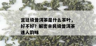 宫廷级普洱茶是什么茶叶，好不好？解密亲民级普洱茶迷人韵味