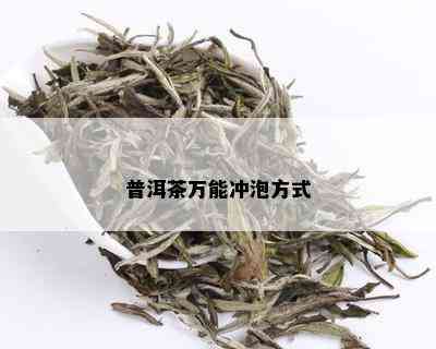 普洱茶万能冲泡方式