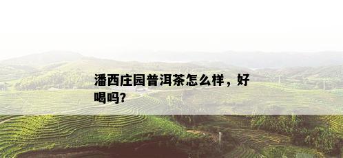 潘西庄园普洱茶怎么样，好喝吗？