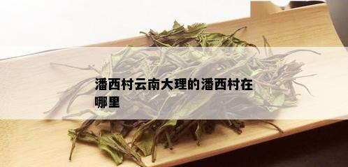 潘西村云南大理的潘西村在哪里