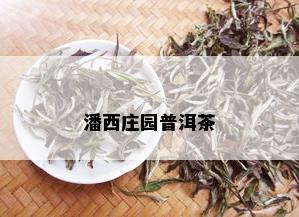 潘西庄园普洱茶