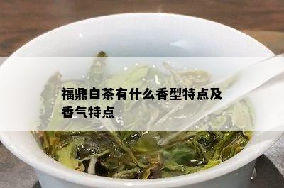 福鼎白茶有什么香型特点及香气特点