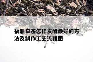 福鼎白茶怎样发酵更好的方法及制作工艺流程图