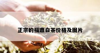 正宗的福鼎白茶价格及图片