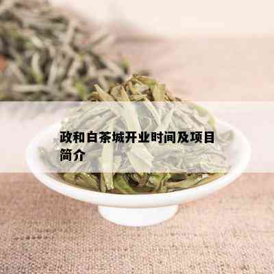 政和白茶城开业时间及项目简介