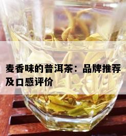 麦香味的普洱茶：品牌推荐及口感评价