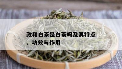 政和白茶是白茶吗及其特点、功效与作用