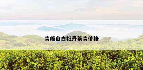 青峰山白牡丹茶青价格