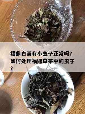 福鼎白茶有小虫子正常吗？如何处理福鼎白茶中的虫子？