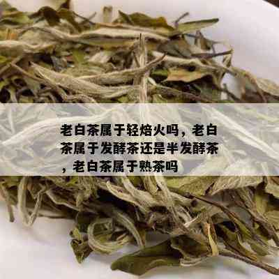 老白茶属于轻焙火吗，老白茶属于发酵茶还是半发酵茶，老白茶属于熟茶吗