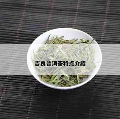 吉良普洱茶特点介绍