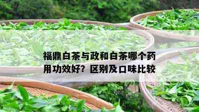 福鼎白茶与政和白茶哪个药用功效好？区别及口味比较