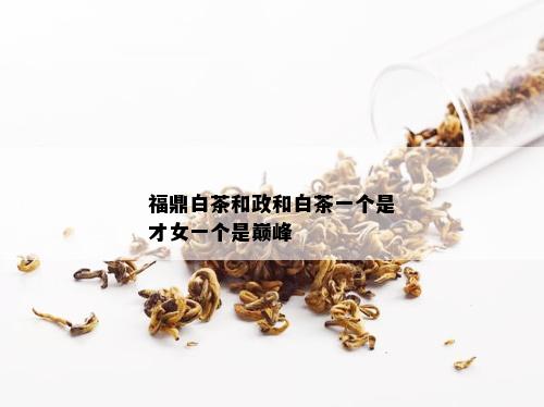 福鼎白茶和政和白茶一个是才女一个是巅峰