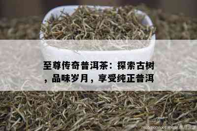 至尊传奇普洱茶：探索古树，品味岁月，享受纯正普洱