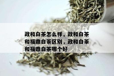 政和白茶怎么样，政和白茶和福鼎白茶区别，政和白茶和福鼎白茶哪个好