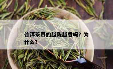 普洱茶真的越陈越香吗？为什么？