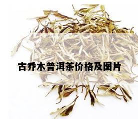 古乔木普洱茶价格及图片