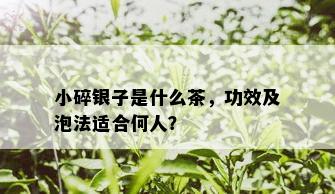 小碎银子是什么茶，功效及泡法适合何人？