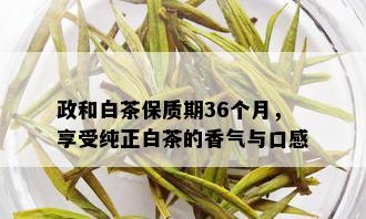 政和白茶保质期36个月，享受纯正白茶的香气与口感