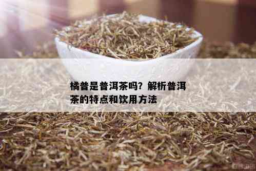 橘普是普洱茶吗？解析普洱茶的特点和饮用方法