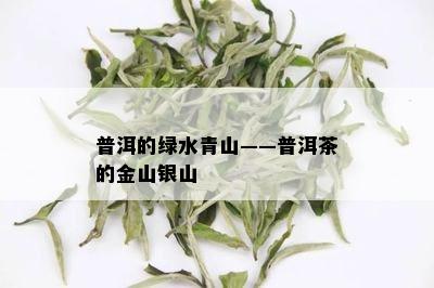 普洱的绿水青山——普洱茶的金山银山