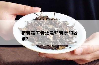 桔普是生普还是熟普茶的区别？