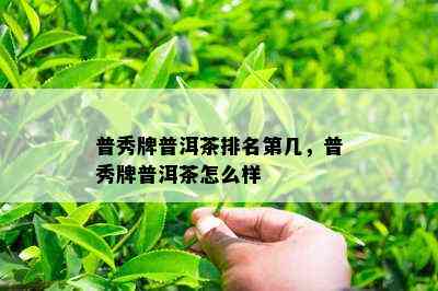 普秀牌普洱茶排名第几，普秀牌普洱茶怎么样