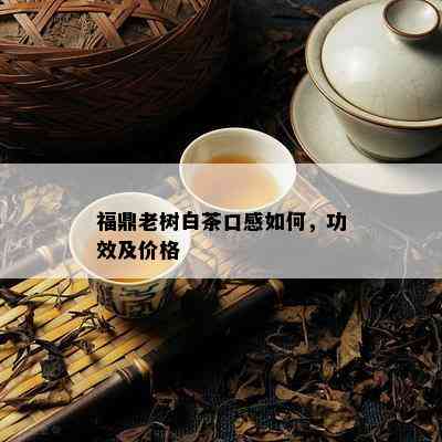 福鼎老树白茶口感如何，功效及价格