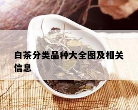 白茶分类品种大全图及相关信息