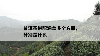 普洱茶拼配涵盖多个方面,分别是什么