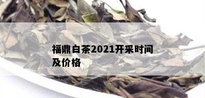 福鼎白茶2021开采时间及价格